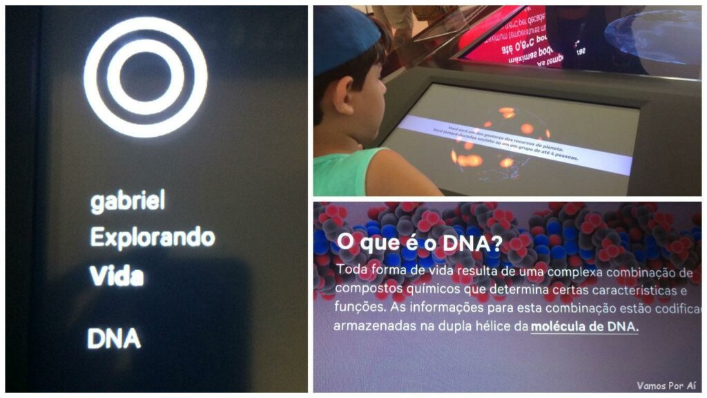 Museu do Amanhã: Passeio Imperdível no Rio de Janeiro 5